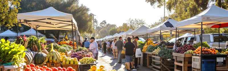 tonnelle pour marché de commerçants